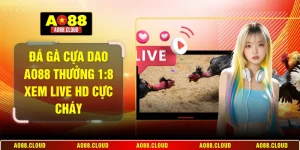 Đá gà cựa dao AO88