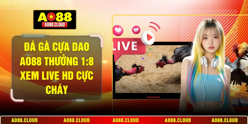 Đá gà cựa dao AO88