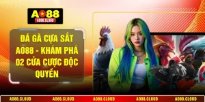 Đá gà cựa sắt AO88