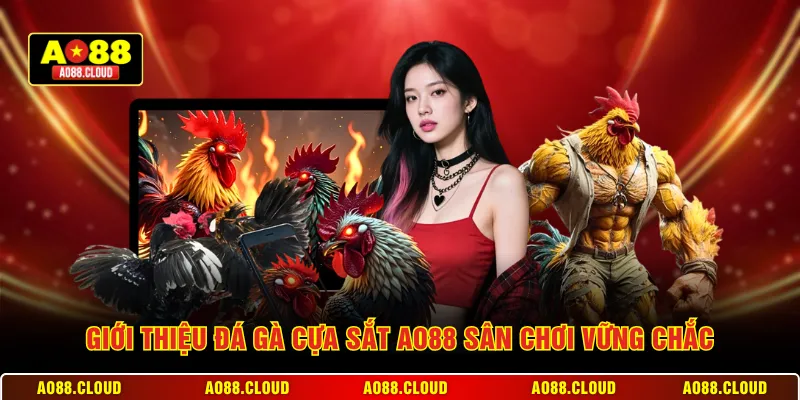 Giới thiệu đá gà cựa sắt AO88 sân chơi vững chắc