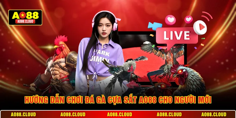 Hướng dẫn chơi đá gà cựa sắt AO88 cho người mới