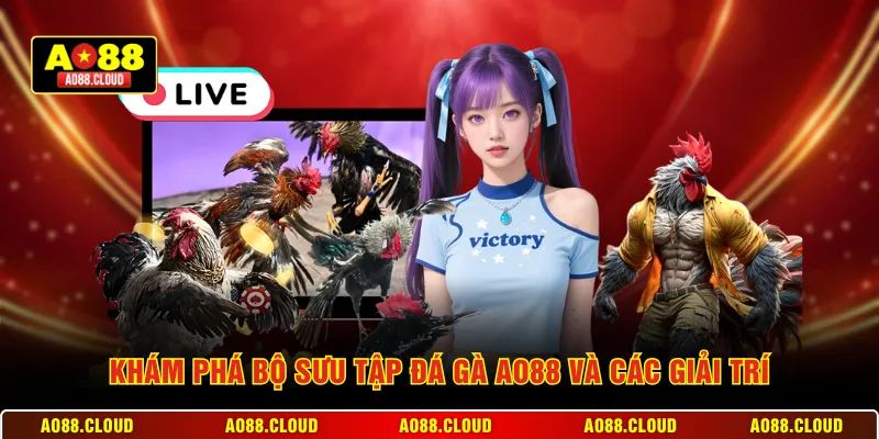 Khám phá bộ sưu tập đá gà AO88 và các giải trí