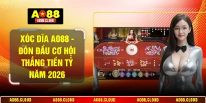 Xóc dĩa AO88